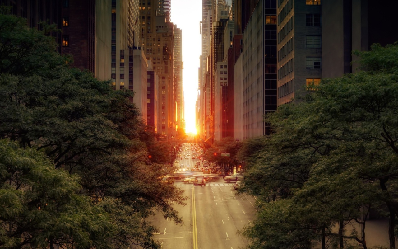 Screenshot №1 pro téma Sun Rising Over Street 1280x800