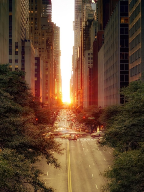 Sun Rising Over Street wallpaper 480x640