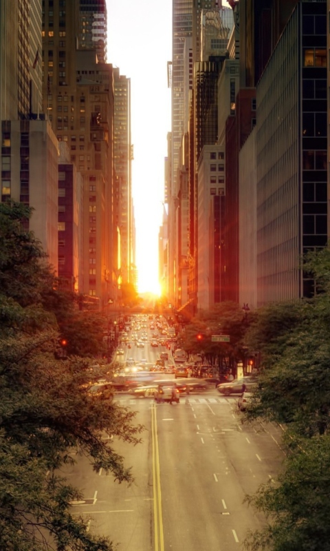 Screenshot №1 pro téma Sun Rising Over Street 480x800