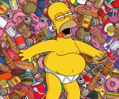 Das Homer Simpson Wallpaper 480x400