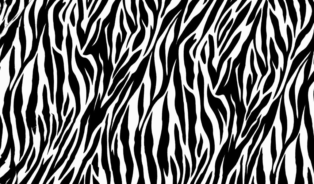 Screenshot №1 pro téma Zebra Print 1024x600