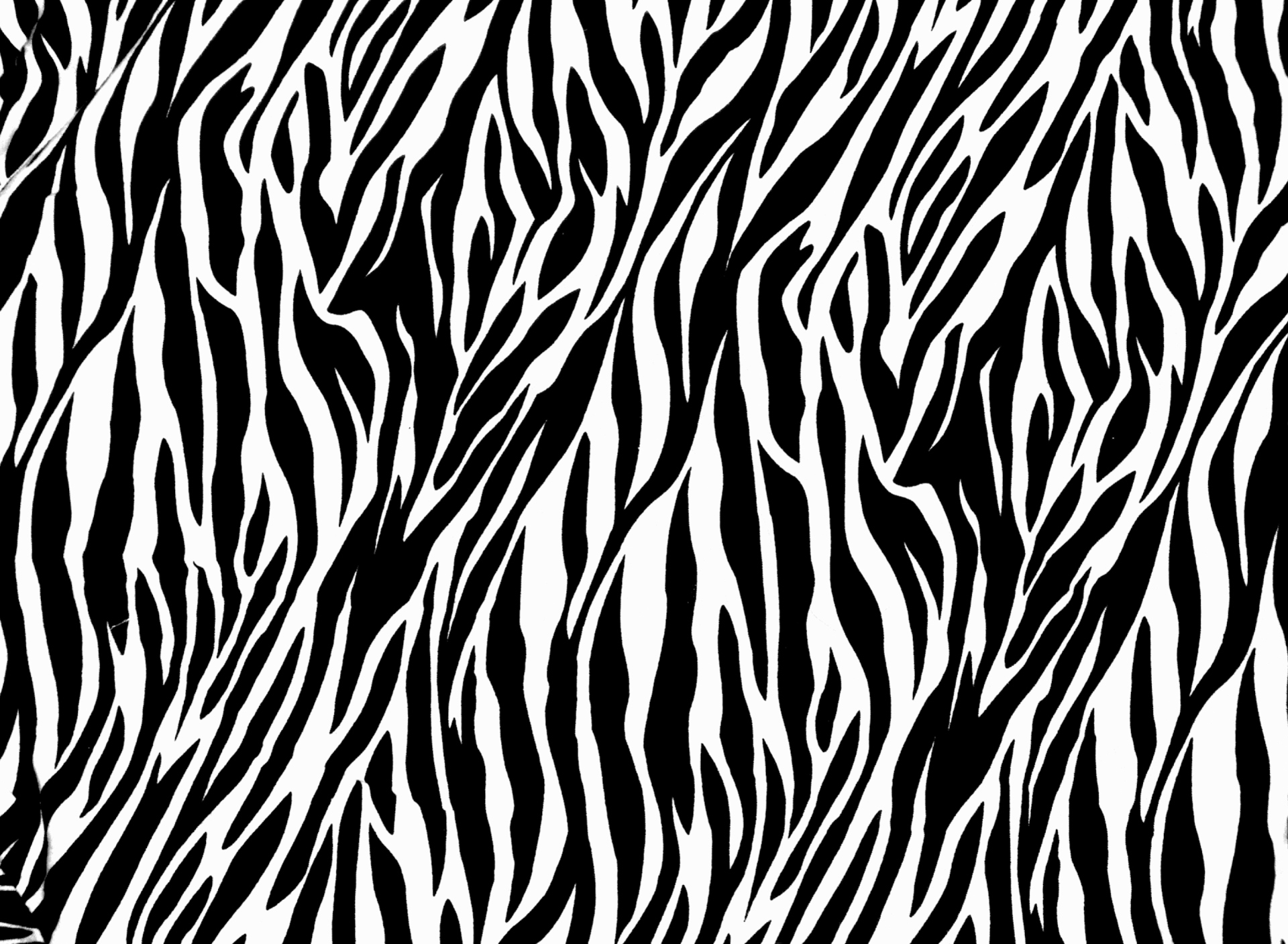 Zebra Print wallpaper 1920x1408