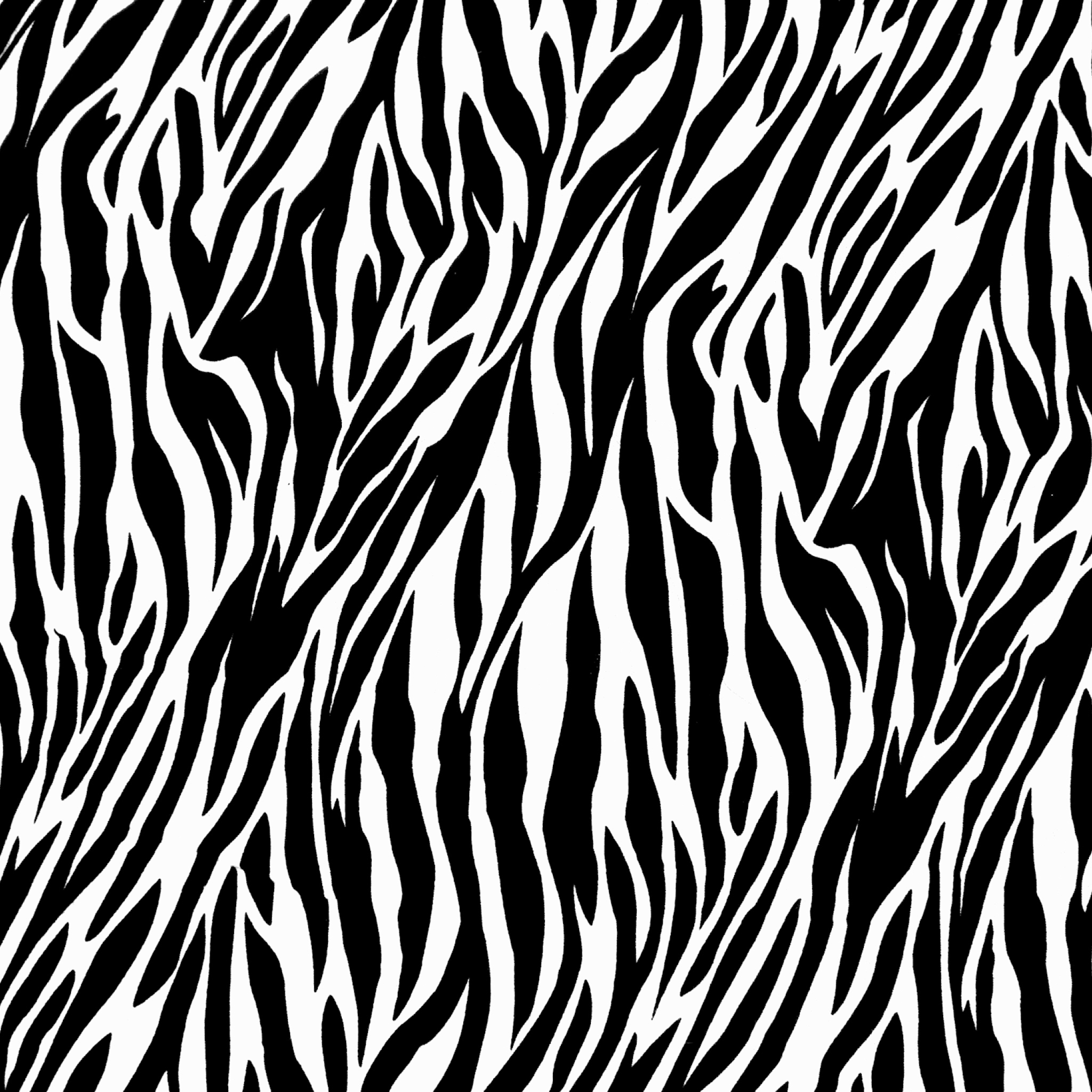 Sfondi Zebra Print 2048x2048