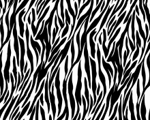 Обои Zebra Print 220x176