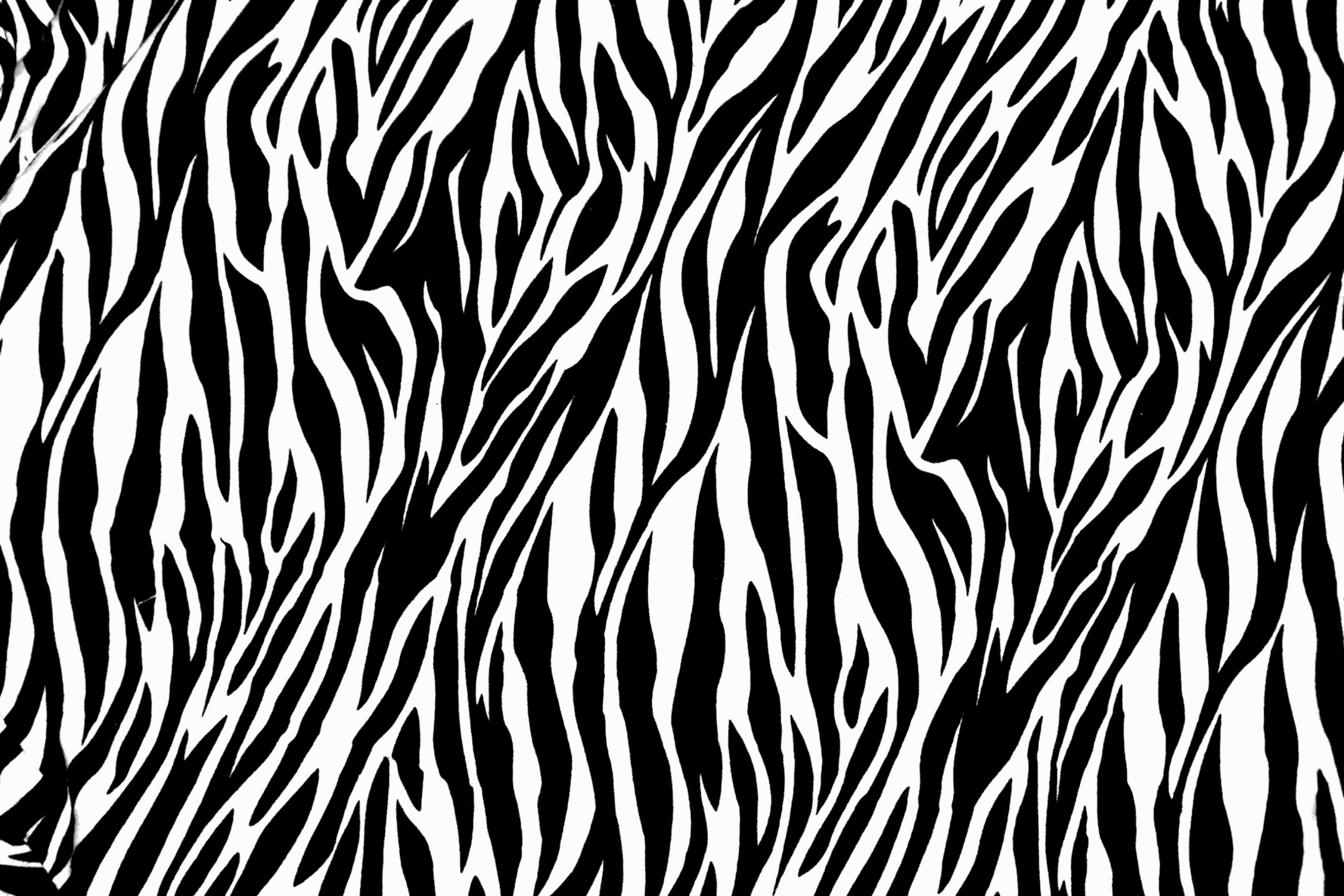 Fondo de pantalla Zebra Print 2880x1920