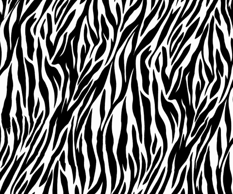 Screenshot №1 pro téma Zebra Print 480x400