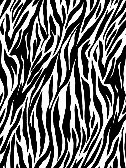 Zebra Print wallpaper 480x640