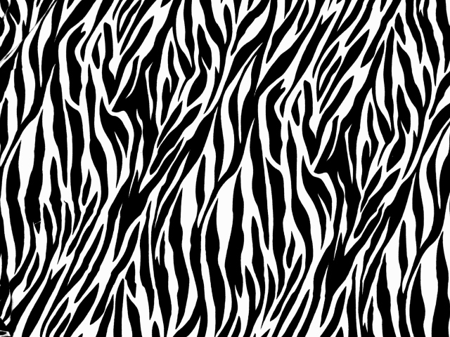Fondo de pantalla Zebra Print 640x480
