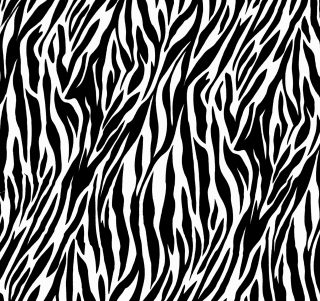 Kostenloses Zebra Print Wallpaper für iPad 3