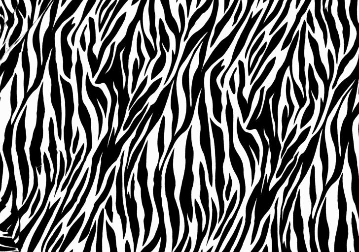 Sfondi Zebra Print