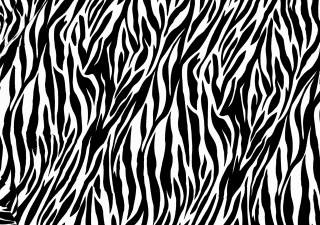 Zebra Print Picture for Android, iPhone and iPad