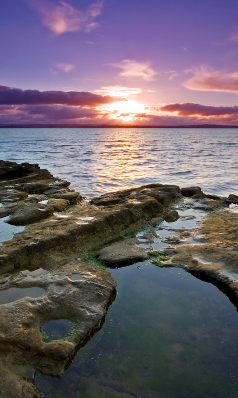 Sfondi Auckland Sunset 480x800