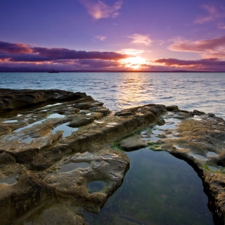 Auckland Sunset - Obrázkek zdarma pro iPad 2