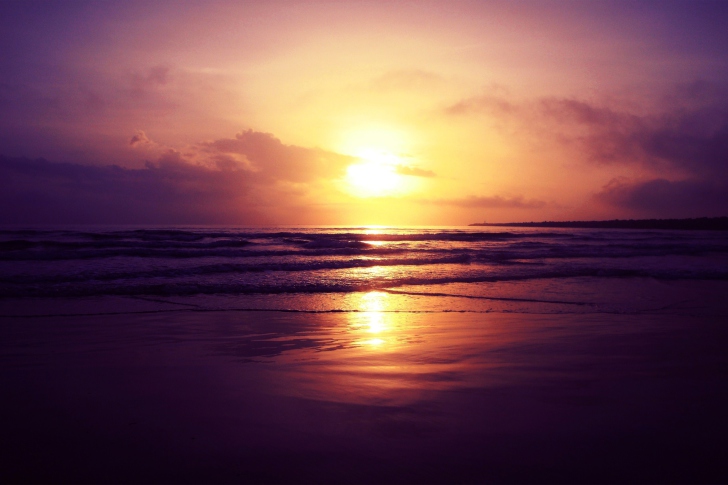 Обои Beach Sunset