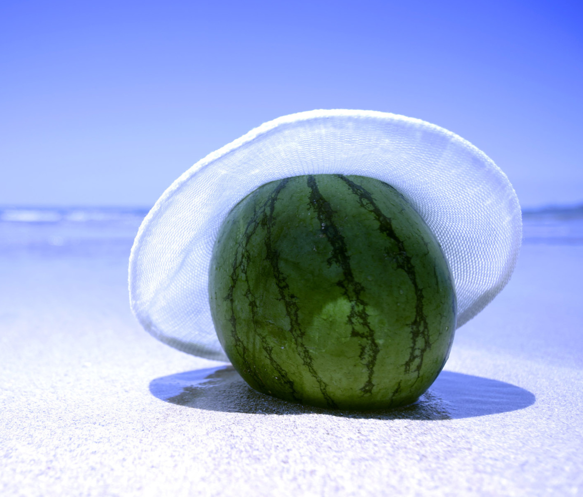 Watermelon In Panama Hat wallpaper 1200x1024