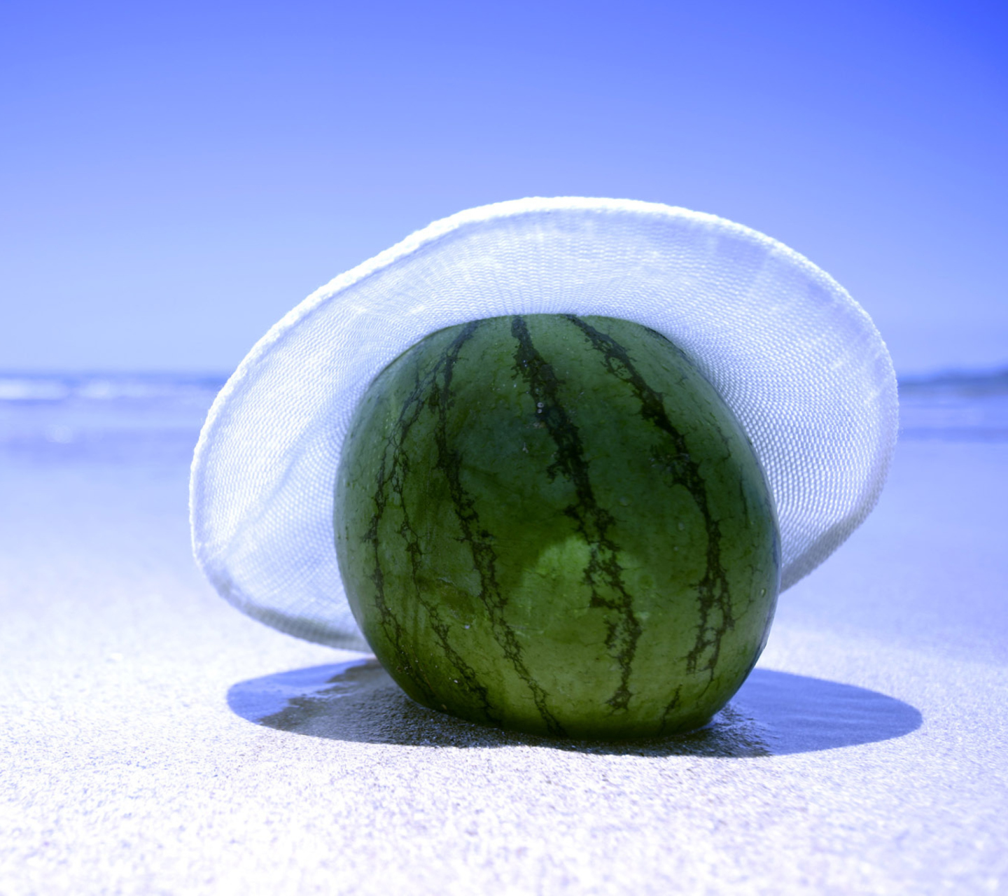 Watermelon In Panama Hat screenshot #1 1440x1280