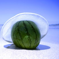 Sfondi Watermelon In Panama Hat 208x208