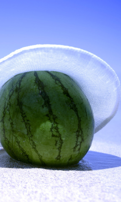 Обои Watermelon In Panama Hat 240x400
