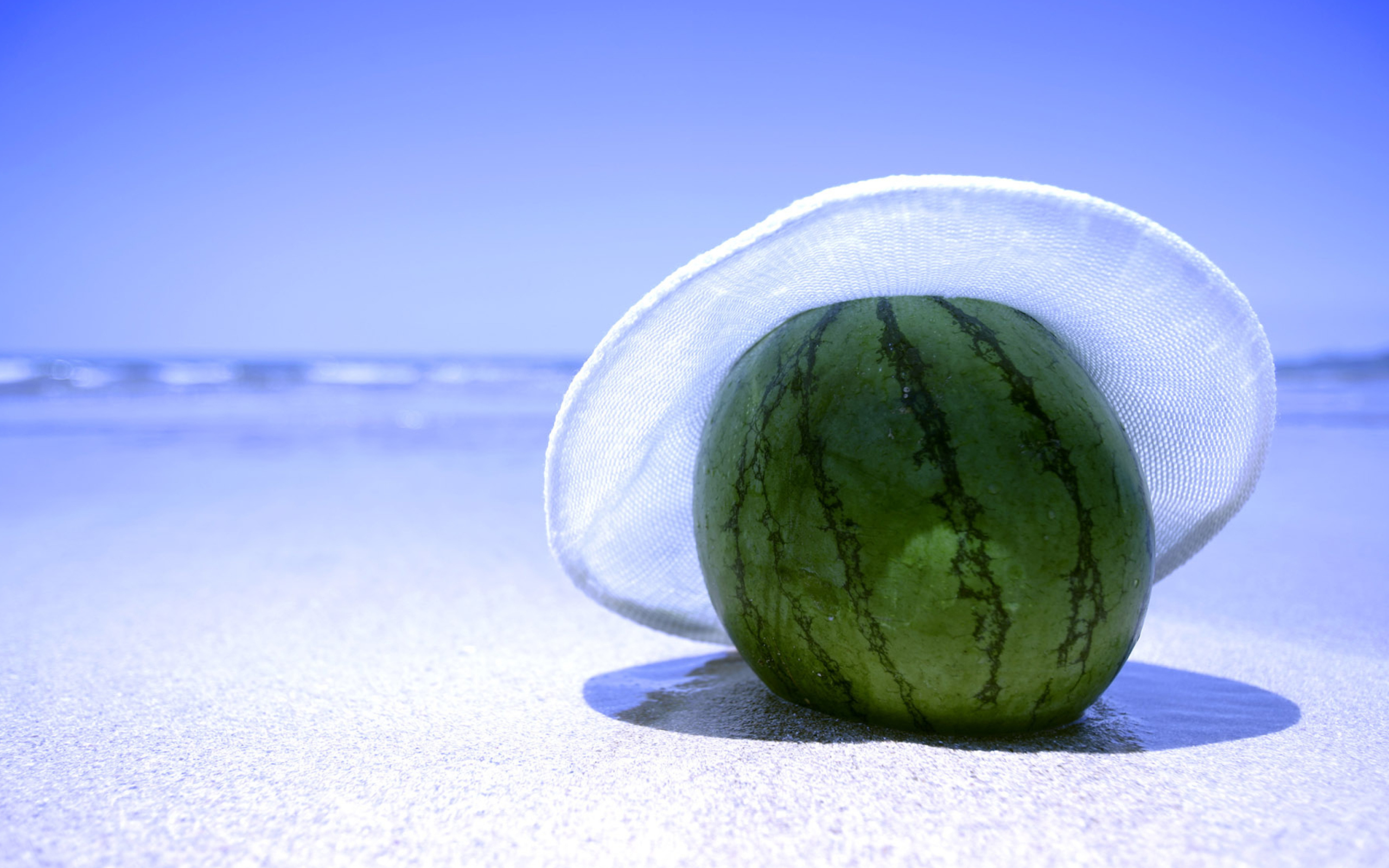 Sfondi Watermelon In Panama Hat 2560x1600