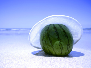 Обои Watermelon In Panama Hat 320x240