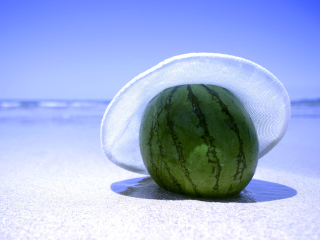 Watermelon In Panama Hat wallpaper 320x240