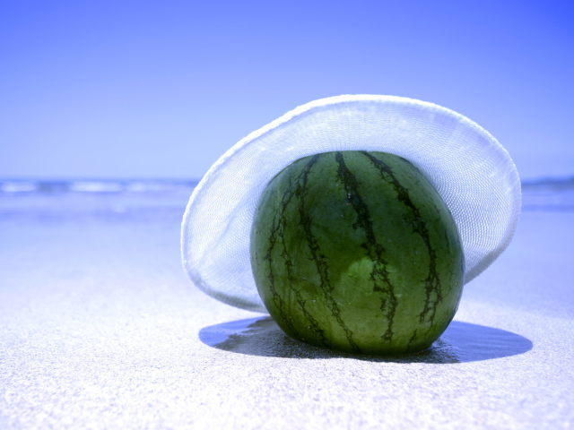 Обои Watermelon In Panama Hat 640x480