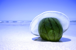 Watermelon In Panama Hat - Obrázkek zdarma 