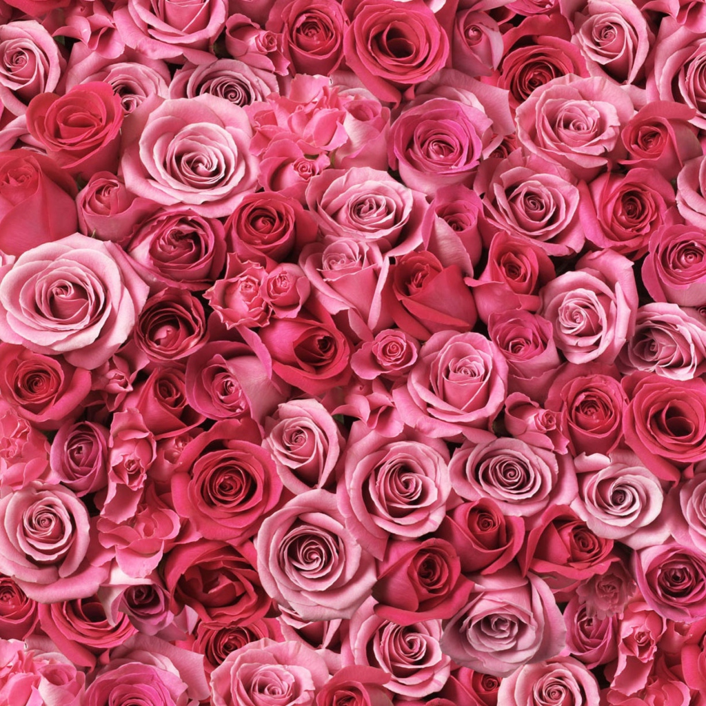 Das Flowers Of Love Wallpaper 1024x1024