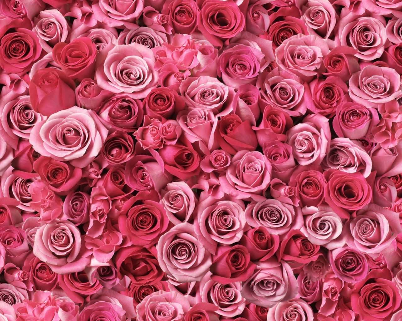 Flowers Of Love wallpaper 1280x1024
