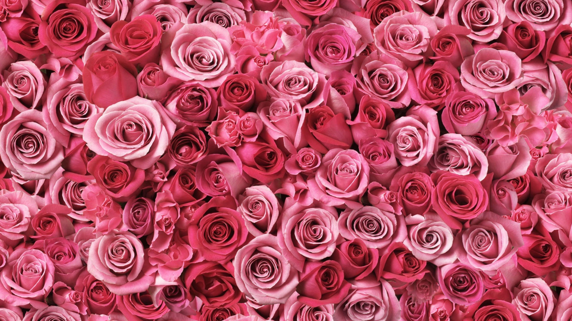 Das Flowers Of Love Wallpaper 1920x1080