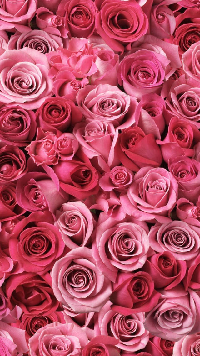 Das Flowers Of Love Wallpaper 640x1136