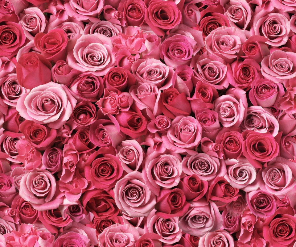 Das Flowers Of Love Wallpaper 960x800