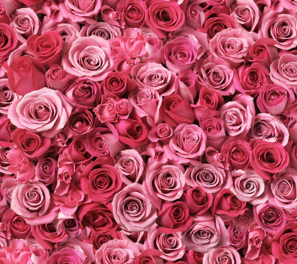 Das Flowers Of Love Wallpaper 960x854
