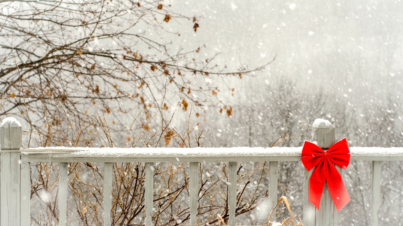 Red Bow On Fence wallpaper 1280x720