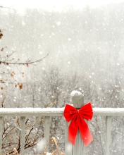 Red Bow On Fence wallpaper 176x220