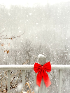 Red Bow On Fence screenshot #1 240x320