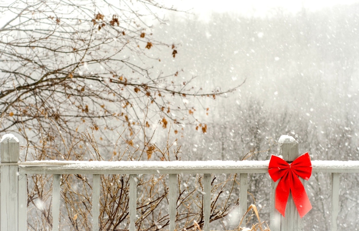 Red Bow On Fence wallpaper