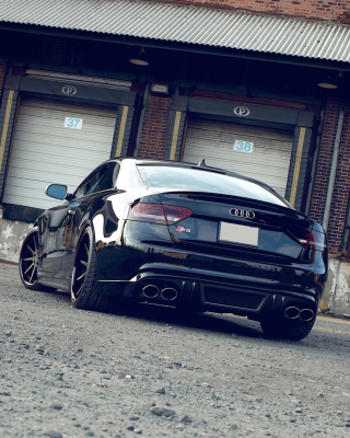 Audi S5 - Obrázkek zdarma pro Nokia X3-02