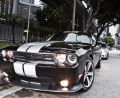 Screenshot №1 pro téma Dodge Challenger SRT8 392 176x144