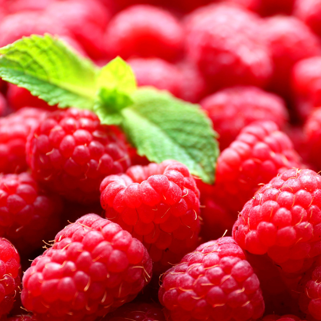 Raspberries wallpaper 1024x1024