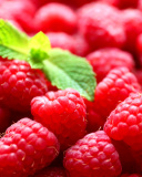 Raspberries wallpaper 128x160