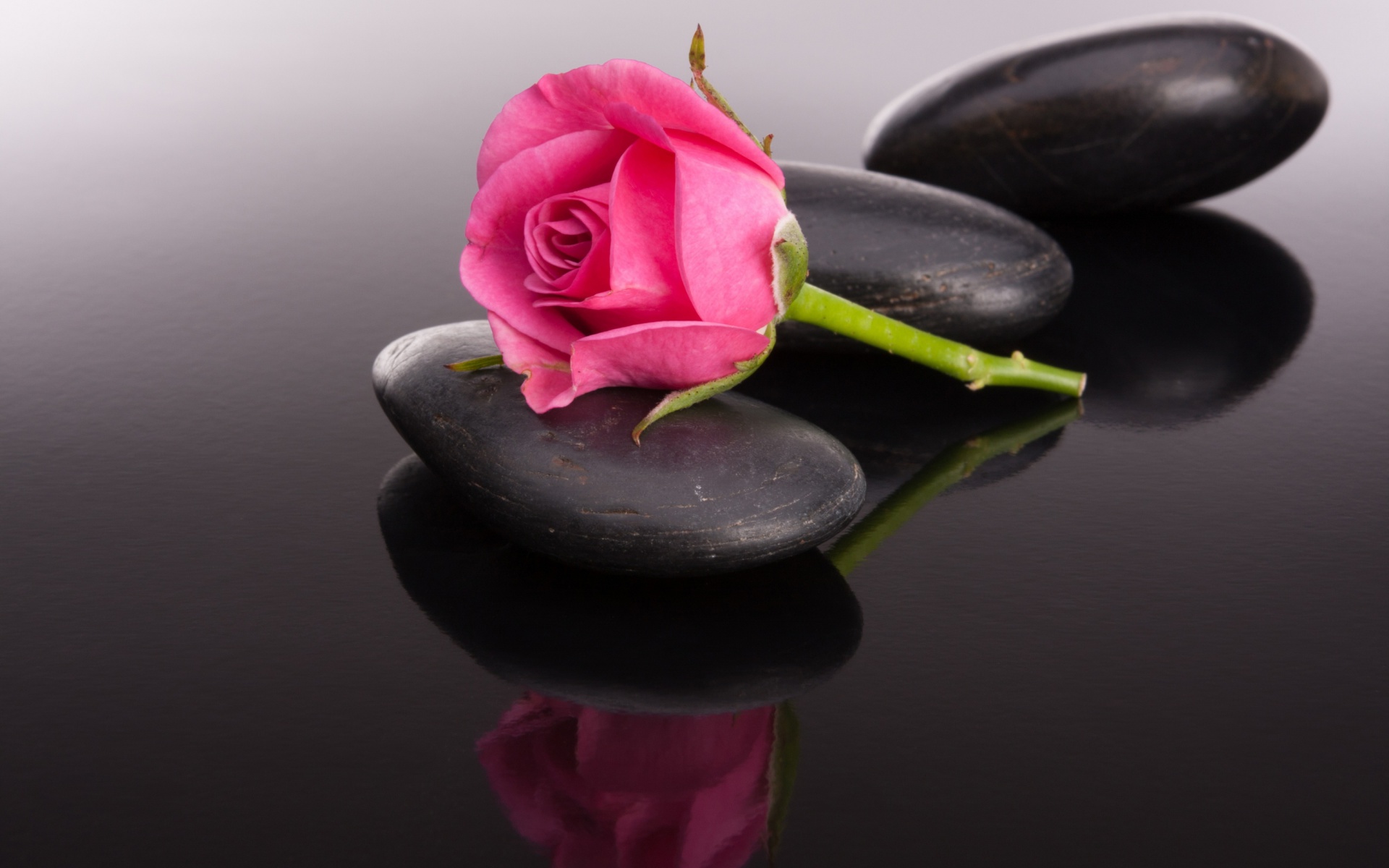 Das Pink rose and pebbles Wallpaper 1920x1200
