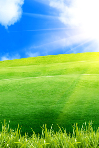 Das Positive Motivational Windows Wallpaper 320x480