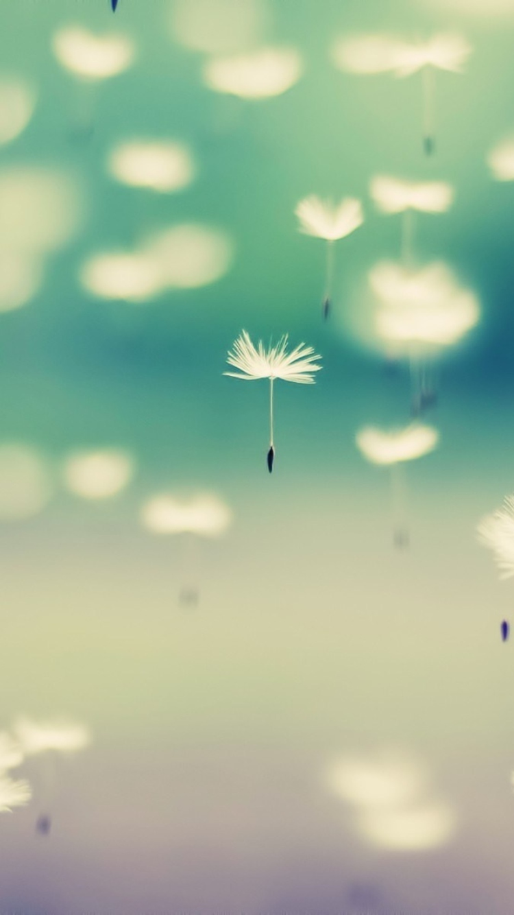 Screenshot №1 pro téma Flying Dandelion Seeds 750x1334