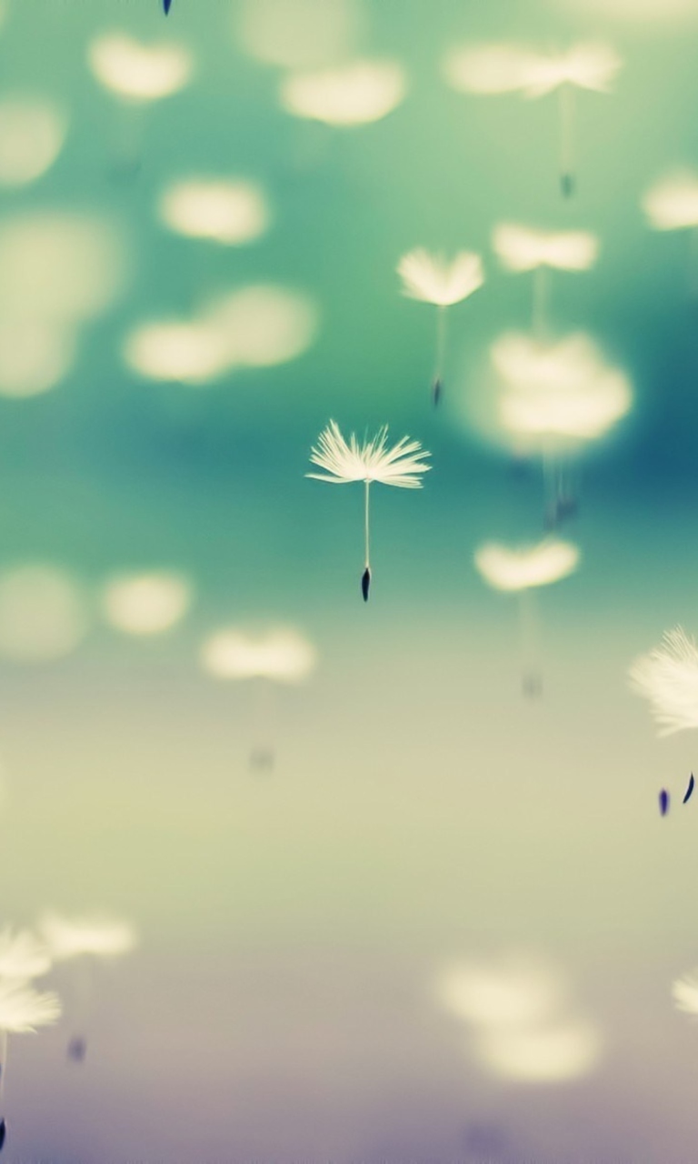 Flying Dandelion Seeds wallpaper 768x1280