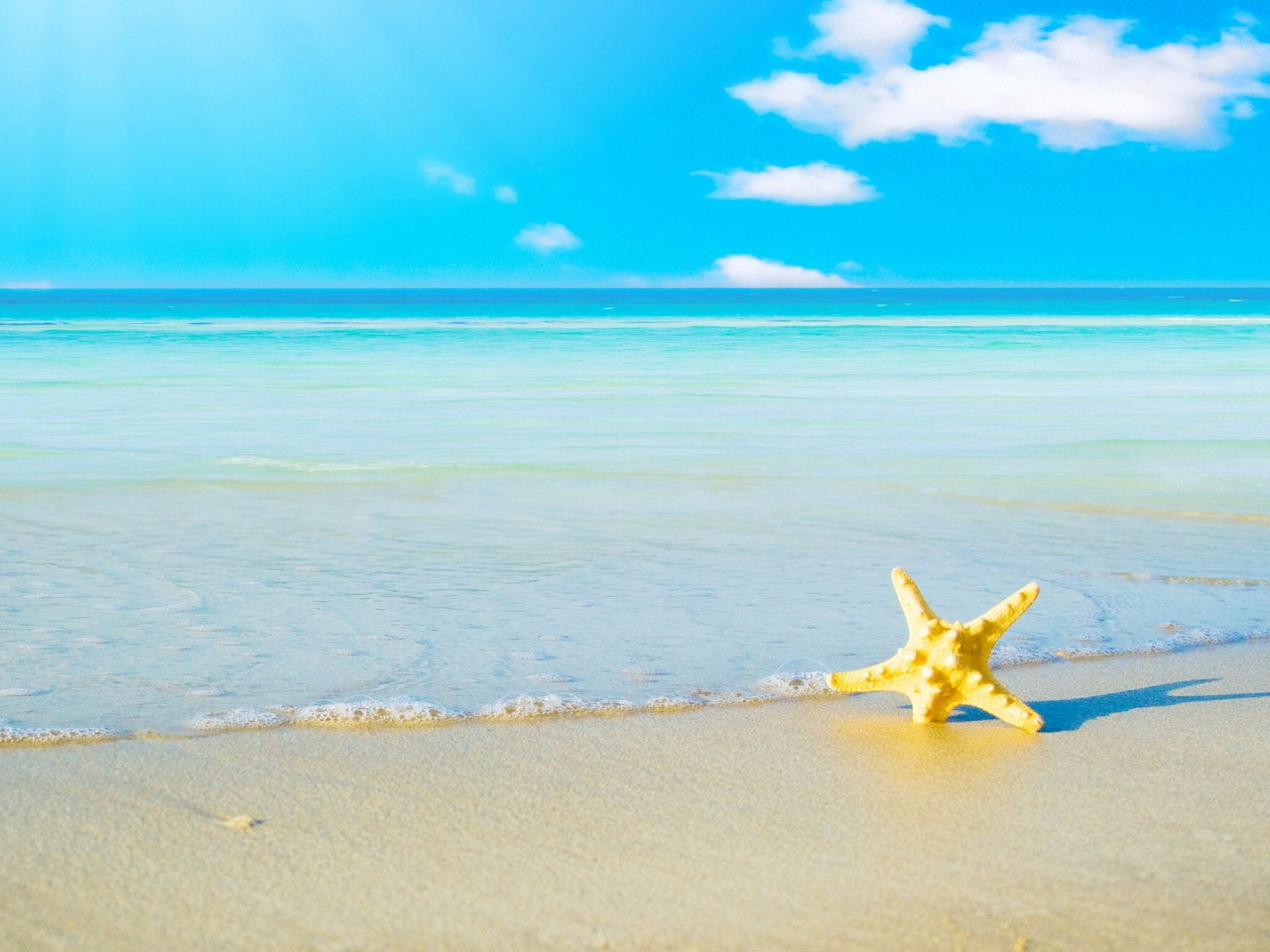 Fondo de pantalla Starfish at summer beach 1280x960