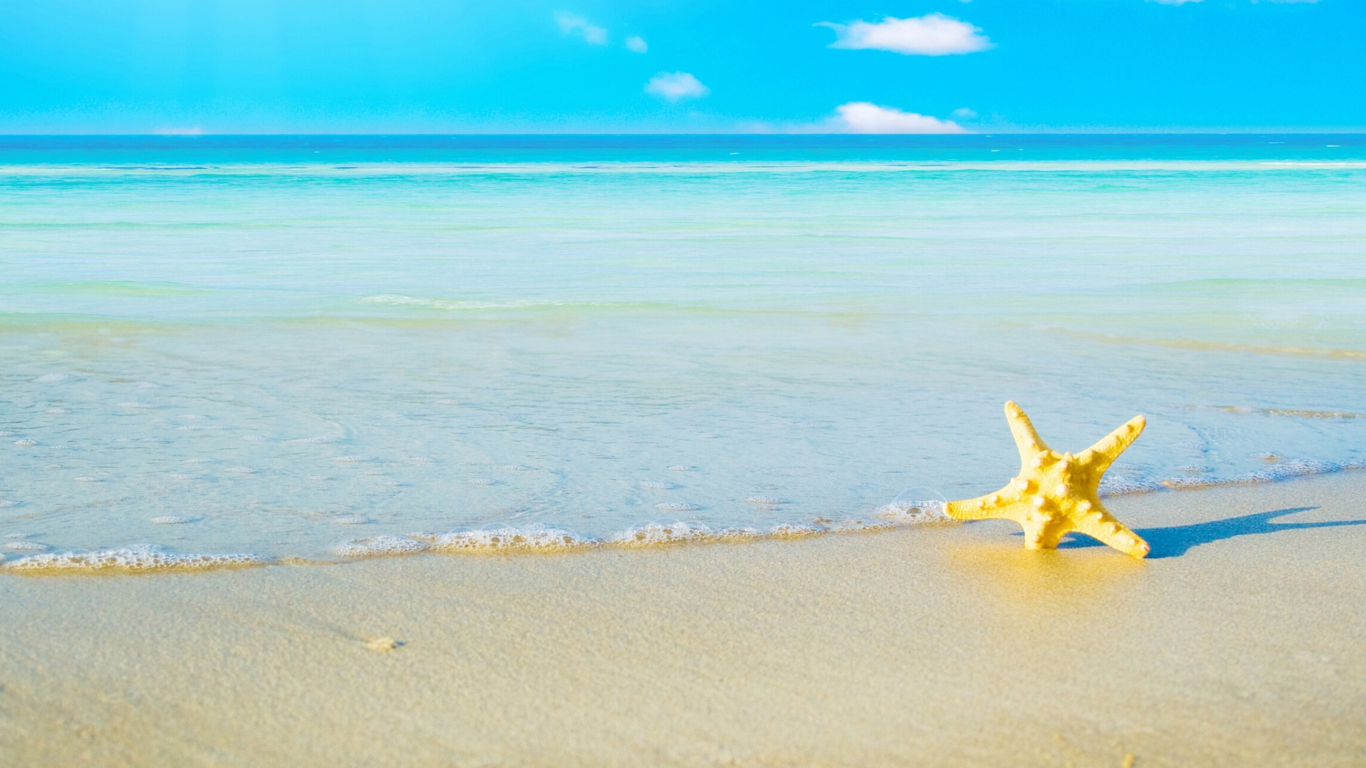Обои Starfish at summer beach 1366x768