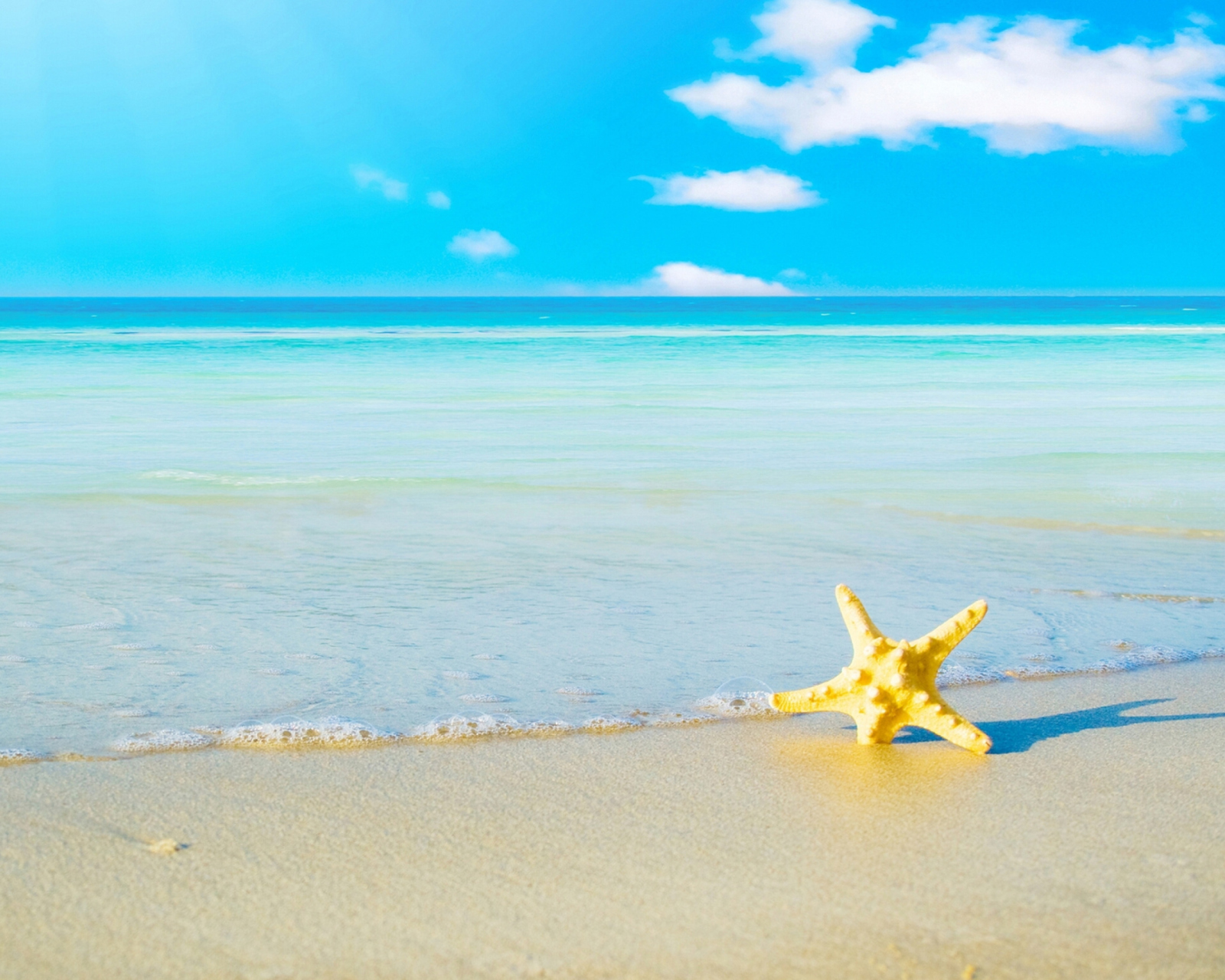 Fondo de pantalla Starfish at summer beach 1600x1280