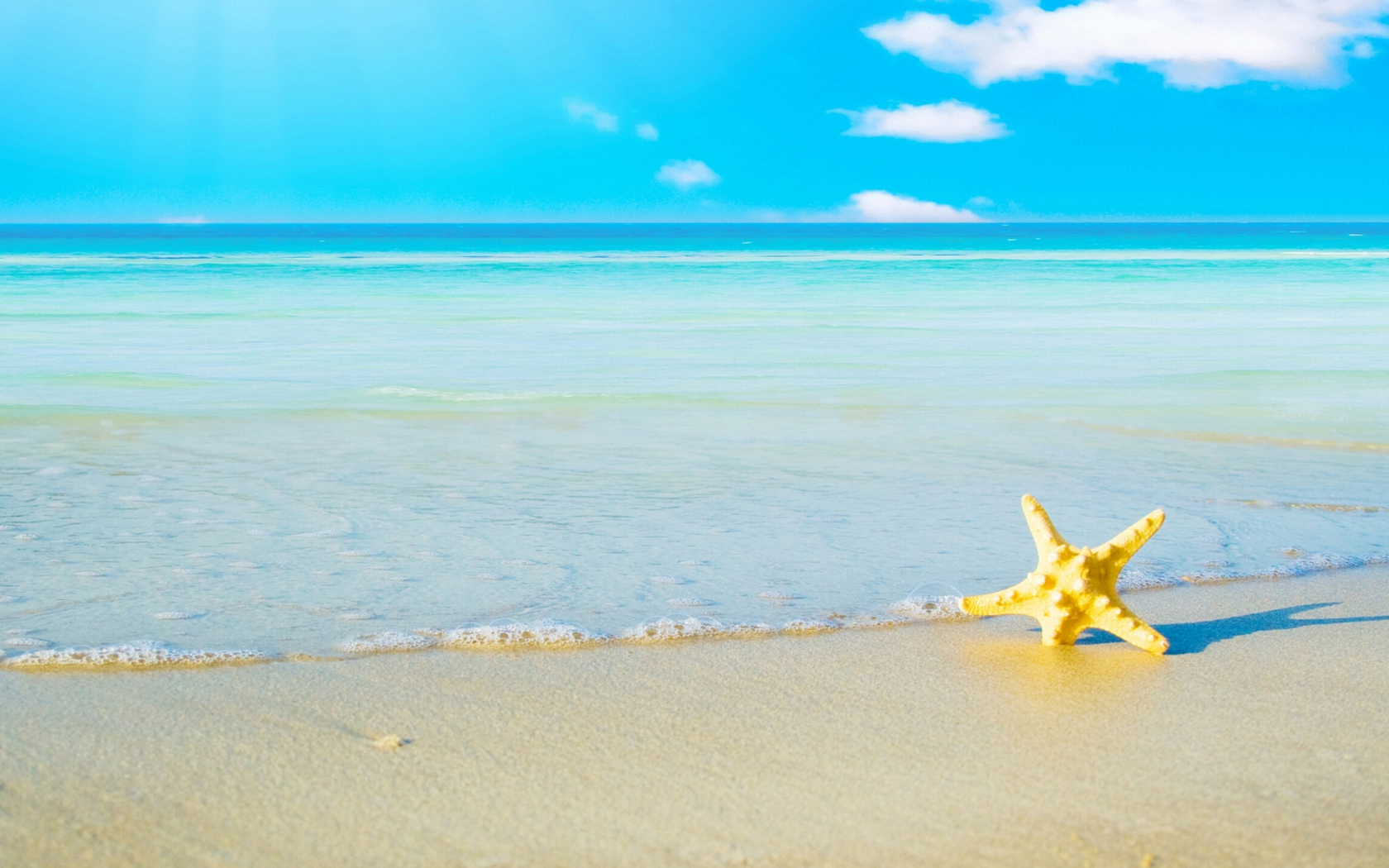Обои Starfish at summer beach 1680x1050