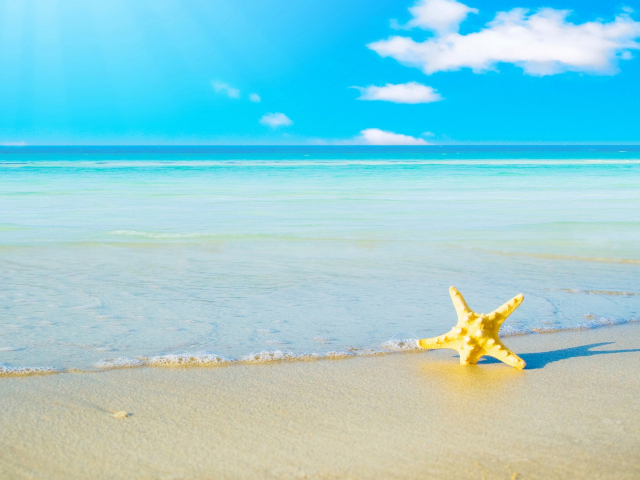 Das Starfish at summer beach Wallpaper 640x480